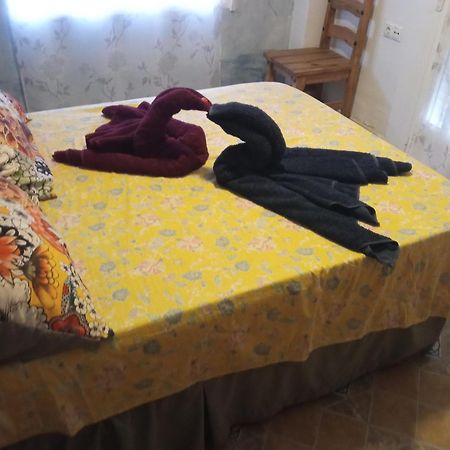 Apartamento Maite 과다마르델세게라 객실 사진